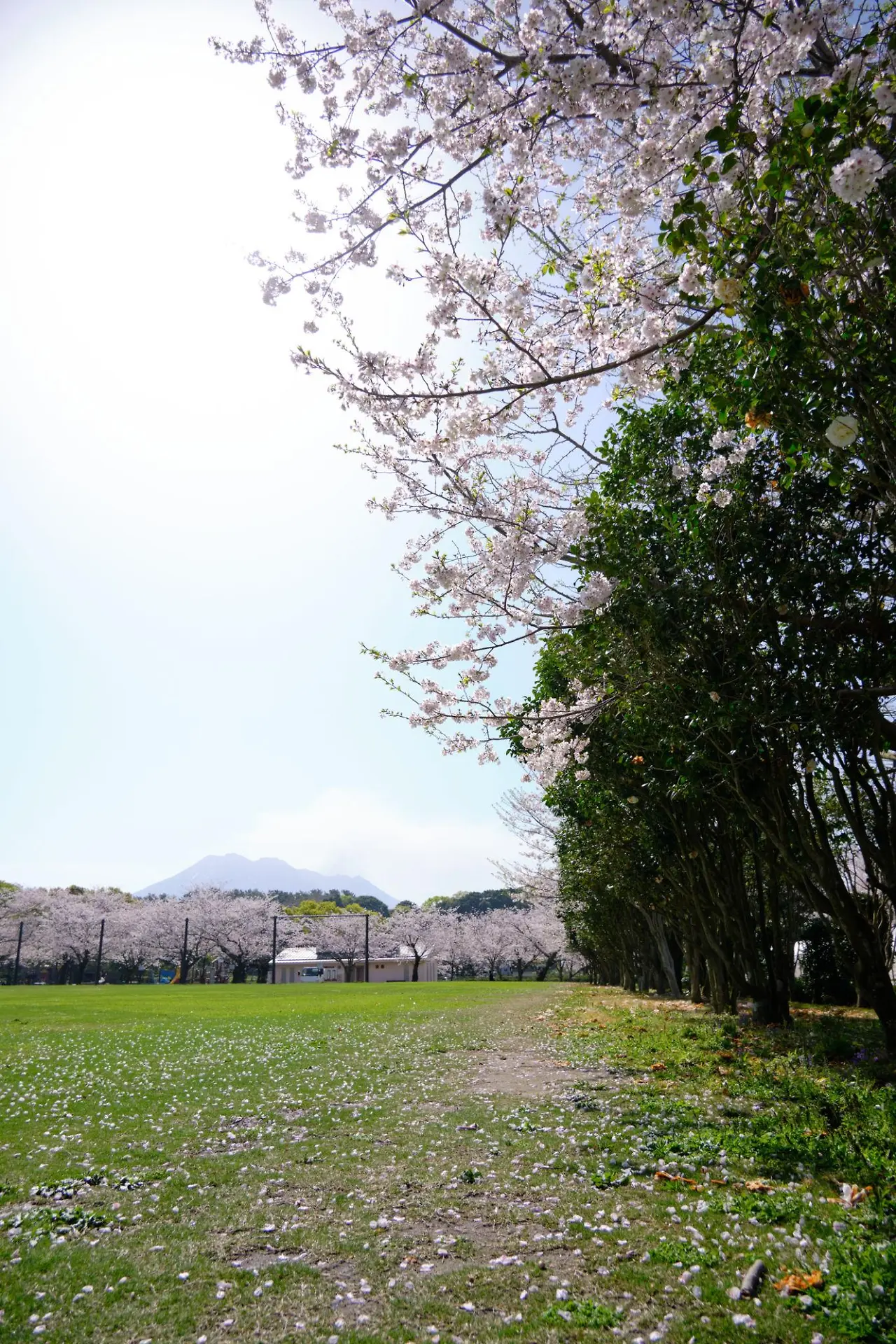 Z3pbOtVXSjs6Lmm_MJYRLlwkEnFtJJMGYYehcRiARCNDF-oo8A5hh4xpTt_Q2sre_lVyyvgCHgMcf4SilshNPXwhIsm2-DEwht0yIQbmW7k?purpose=fullsize&v=1