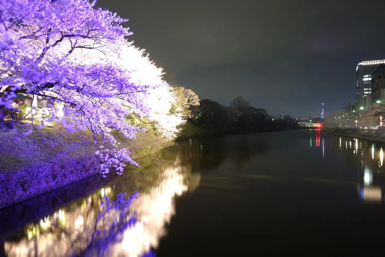 PLBMGGwZDXlWqnGS27IEQZAfFXWDyMMptzkaw1SpujrTcauAEU3KtaVElzCAVTJKN3cFuL-vgOqwAG56-wb1sZ2K4p-QTyQ4T14t-gNkyww?purpose=fullsize&v=1