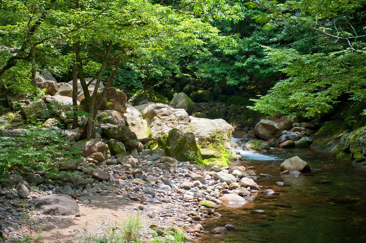 GG1nXz0BN4-G3Rd6CPokAIzKMs4yqIcQvl9f1TOHwZ3BLuHw-aWDnJX-UuVGkMEi6Nk1Mz25BRVTqy9CIWxfFJ58lF6JVfLkVqBhMXwJan0?purpose=fullsize&v=1