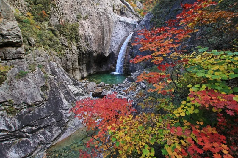 IMG_0358.JPG?type=w800