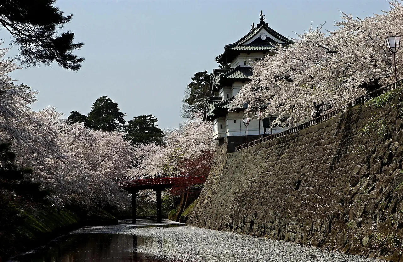 a-wkD2q0j4SkAqZLIiNIcyn-gjoGCSGTnXuxVFxkTnOb_UQhvSziNiA42Y4VyjeKUkBud83L3Mt3qliOCQhAwXPNNm011fCFmvdbhU5_SvQ?purpose=fullsize&v=1