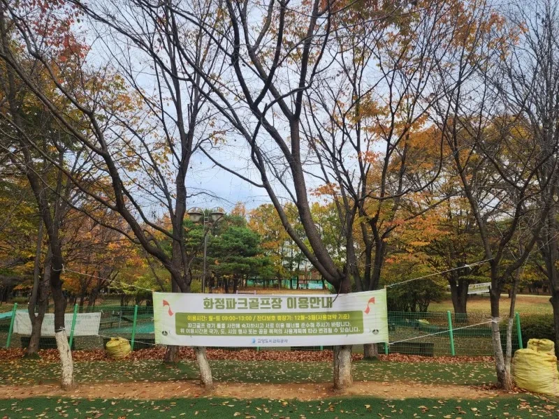 letsgoyang_223257115437_5.jpg?f=webp&q=80&w=800