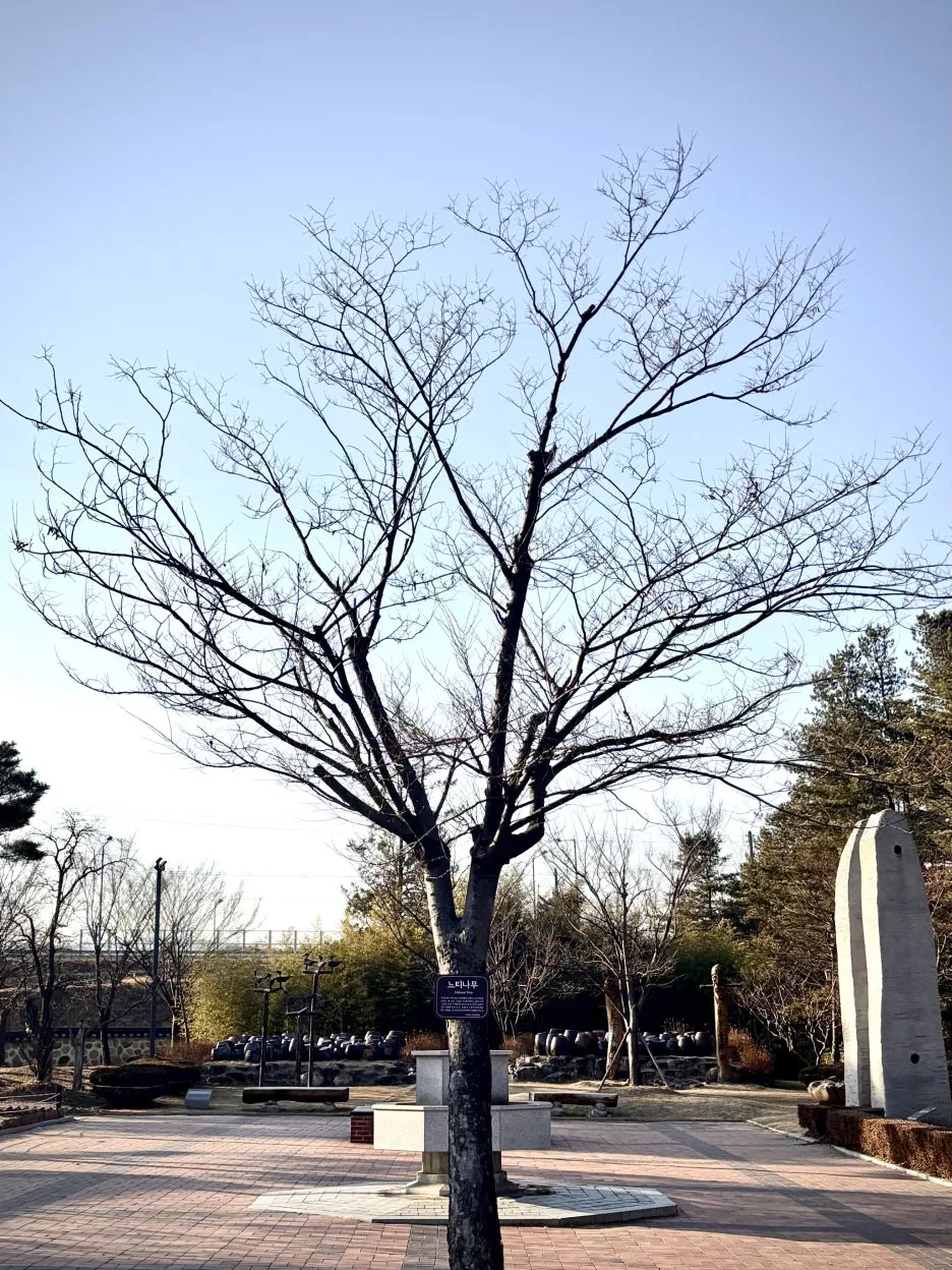 250211_Gangneung,_Republic_of_Korea.jpg?type=w1