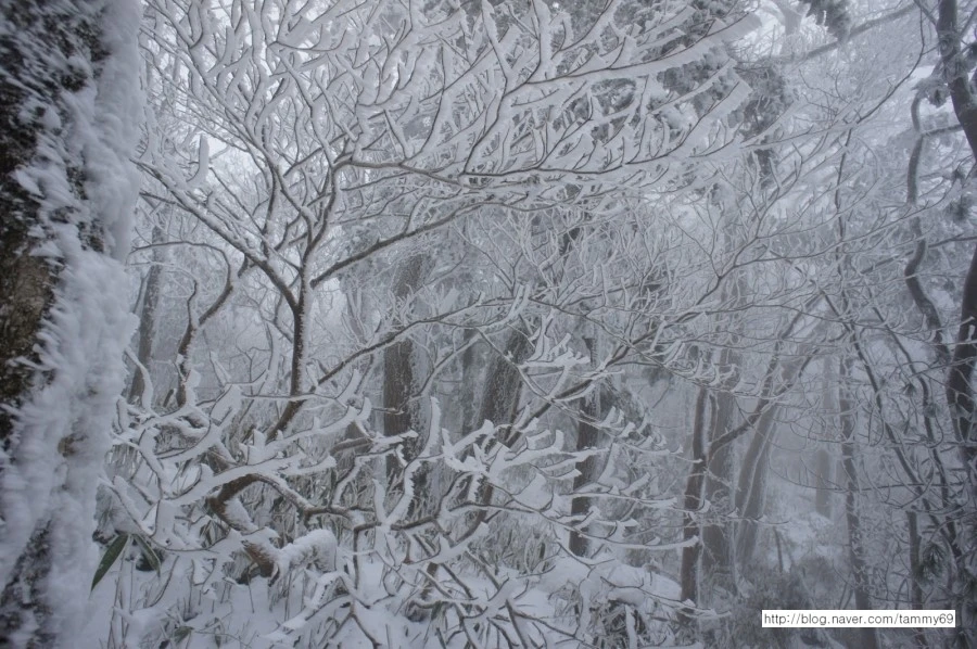 IMG_8066.JPG?type=w1