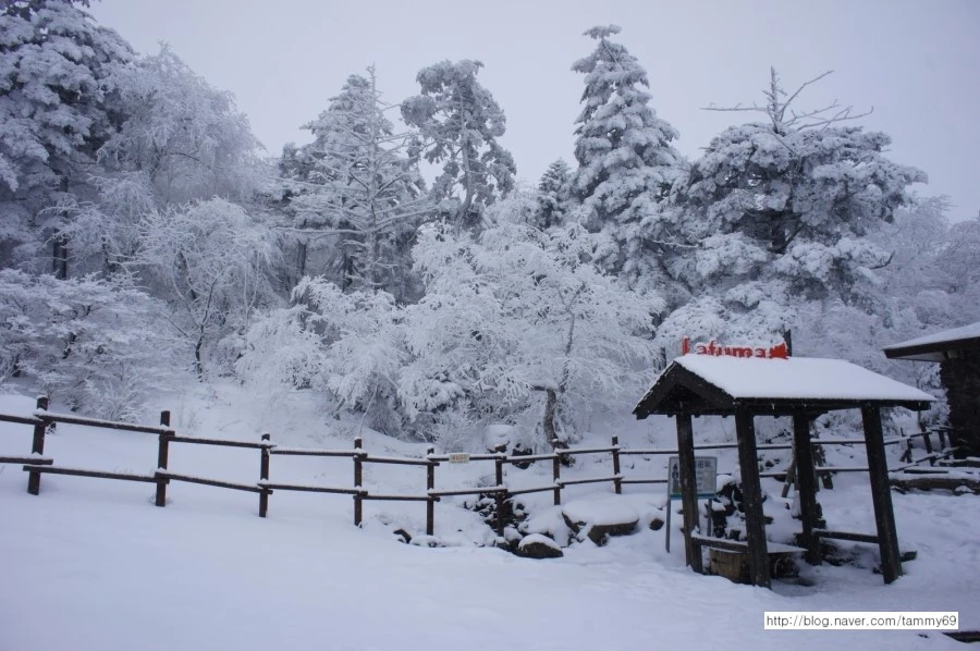 IMG_8064.JPG?type=w1