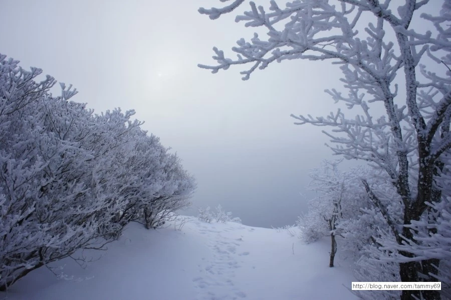 IMG_8081.JPG?type=w1