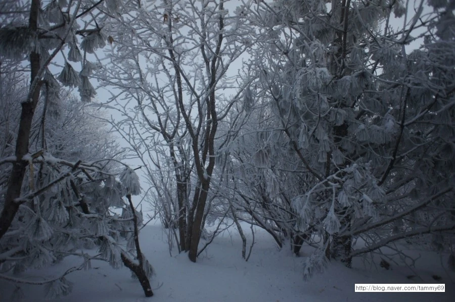 IMG_8069.JPG?type=w1