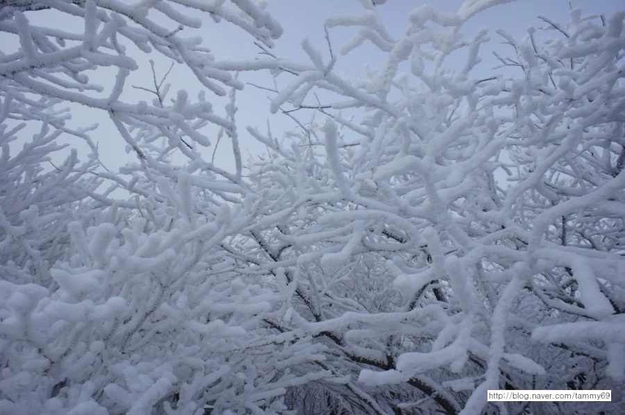 IMG_8076.JPG?type=w1