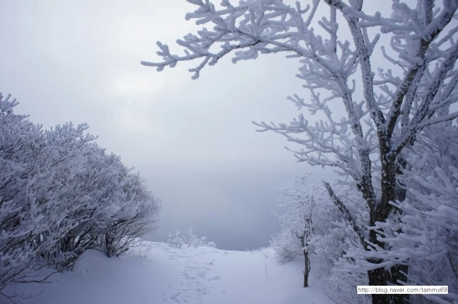 IMG_8075.JPG?type=w1