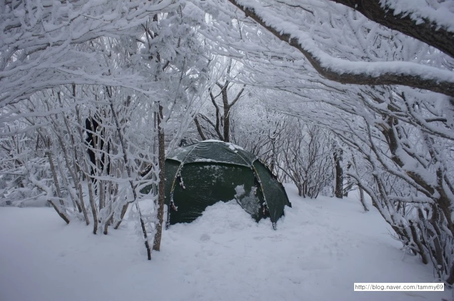 IMG_8080.JPG?type=w1