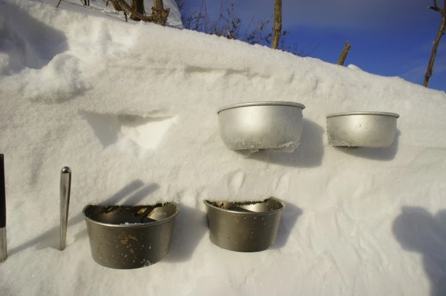 _DSC3974.jpg?type=w1