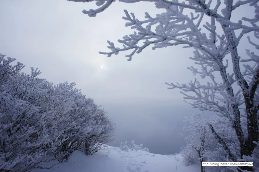 IMG_8074.JPG?type=w1