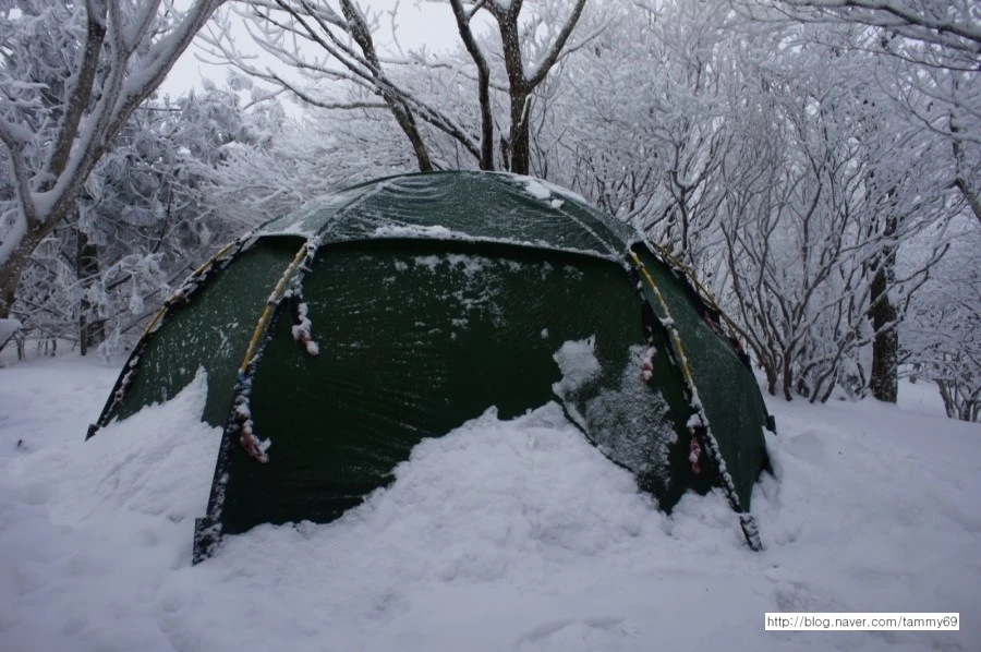 IMG_8072.JPG?type=w1