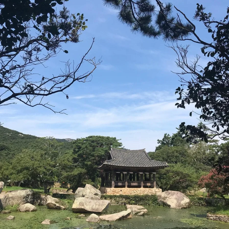 69818563_2987610707976545_7990202903727964160_n.jpg?type=w1