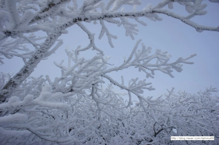 IMG_8082.JPG?type=w1