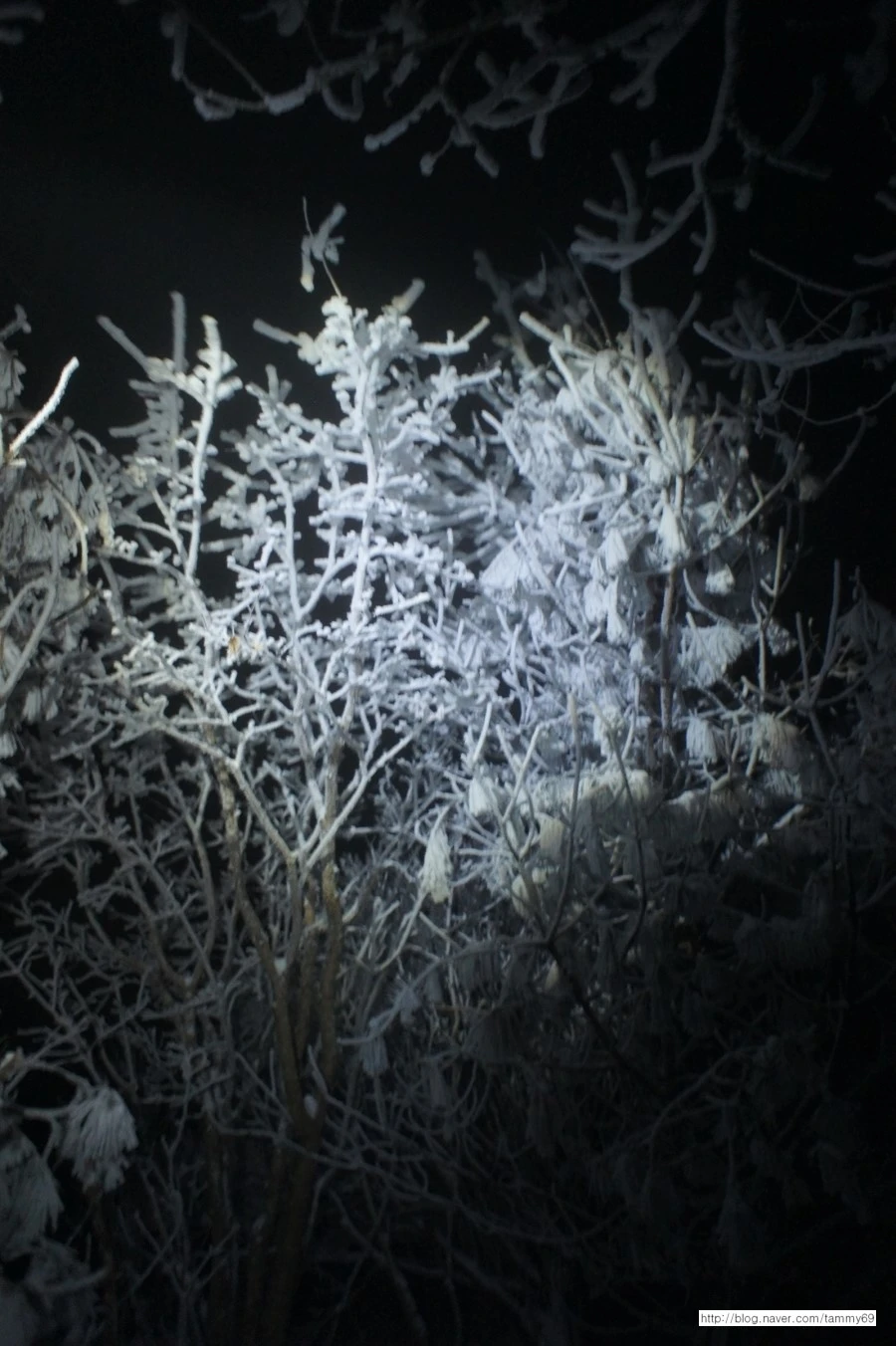 IMG_8071.JPG?type=w1