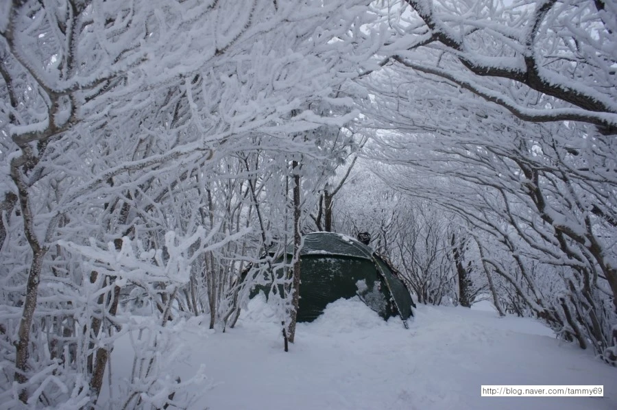 IMG_8077.JPG?type=w1