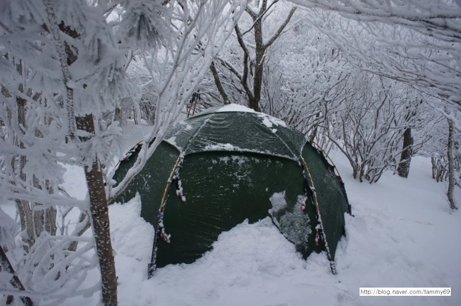 IMG_8073.JPG?type=w1