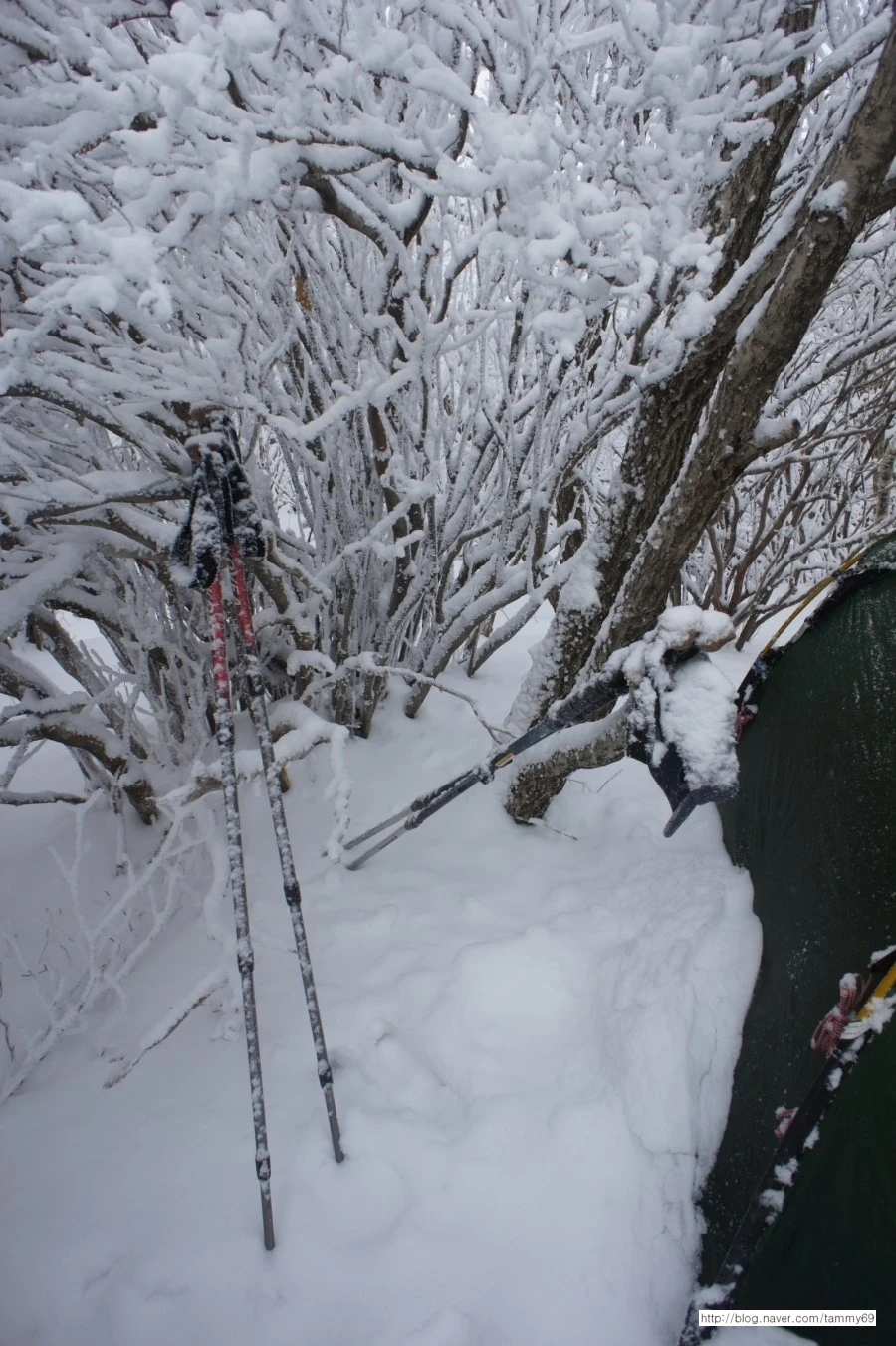 IMG_8079.JPG?type=w1