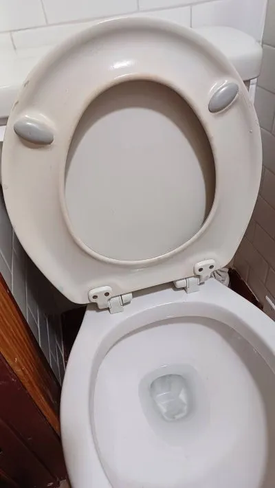 4927b790-b929-469e-922a-322b53cbf8a7.jpg?type=w400