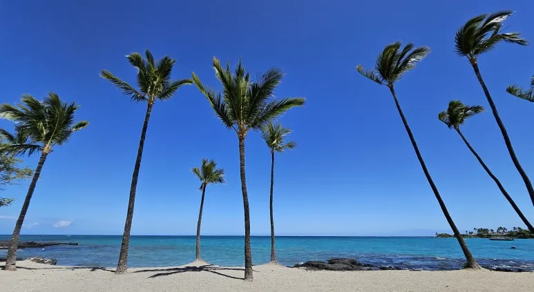 20240716_104912.jpg?type=w773