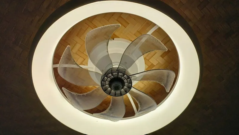 950637f5-dc72-4973-aba2-56a85373f6f0.jpg?type=w800