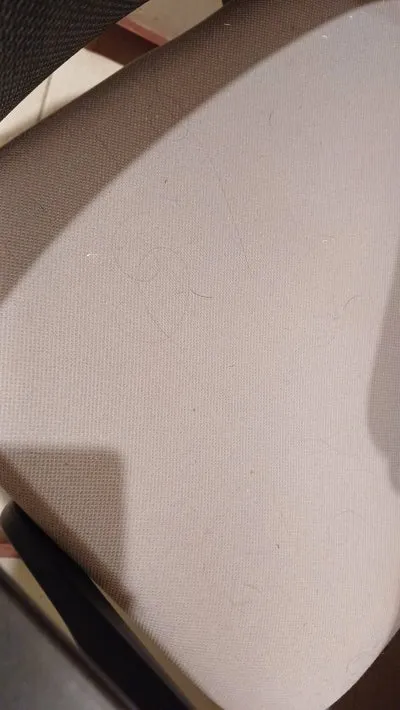 303f930d-e24c-4341-adb2-6ab4d88e2a66.jpg?type=w400