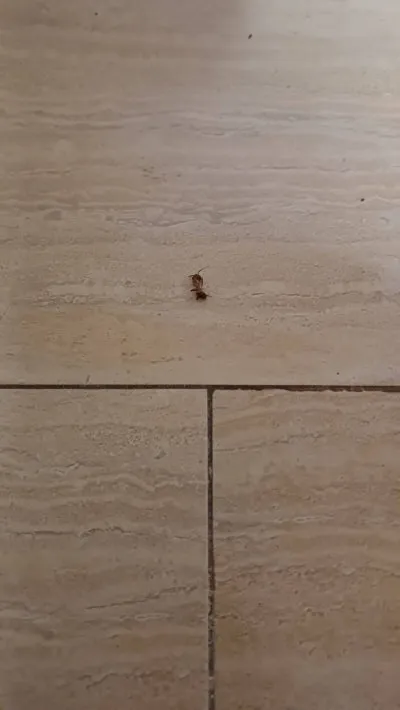 69d4df1b-c7b0-4989-9dd2-063ca21f3633.jpg?type=w400