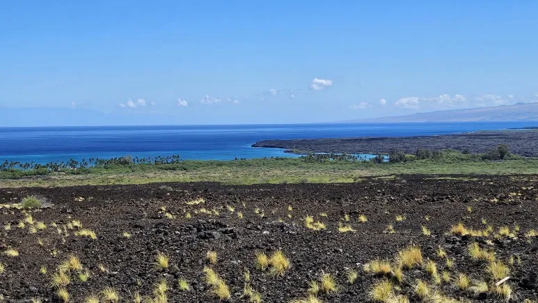 20240716_101849.jpg?type=w773