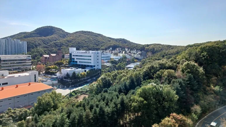 1761867302806.jpg?type=w773