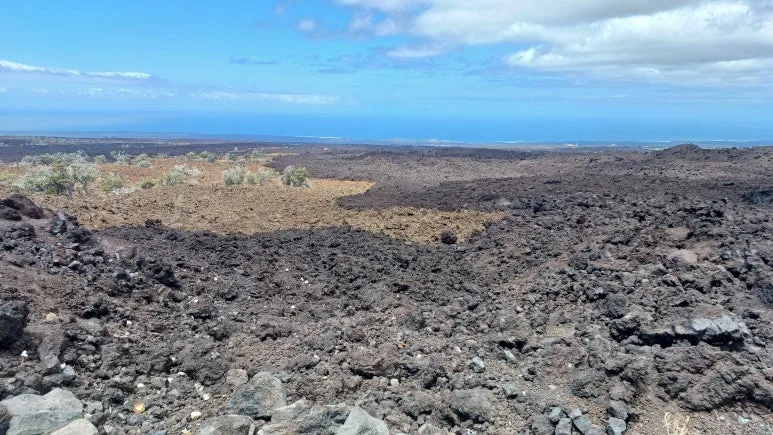 20240715_104649.jpg?type=w773