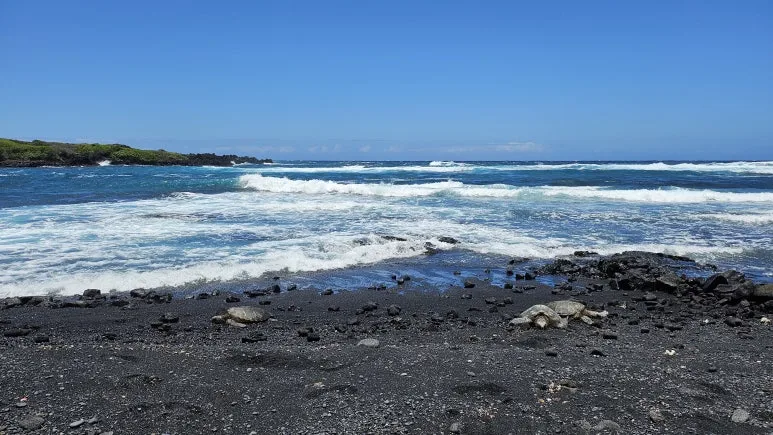 20240715_121412.jpg?type=w773