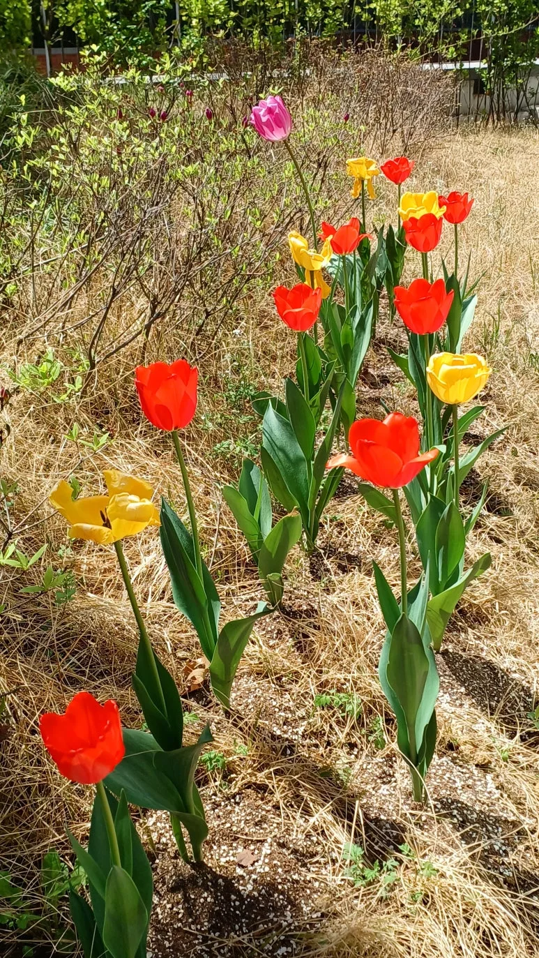 20250411_122316.jpg?type=w773