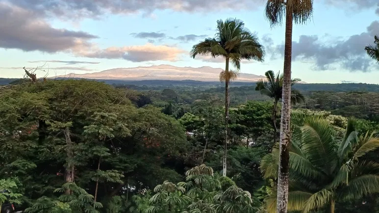 20240717_061224.jpg?type=w773