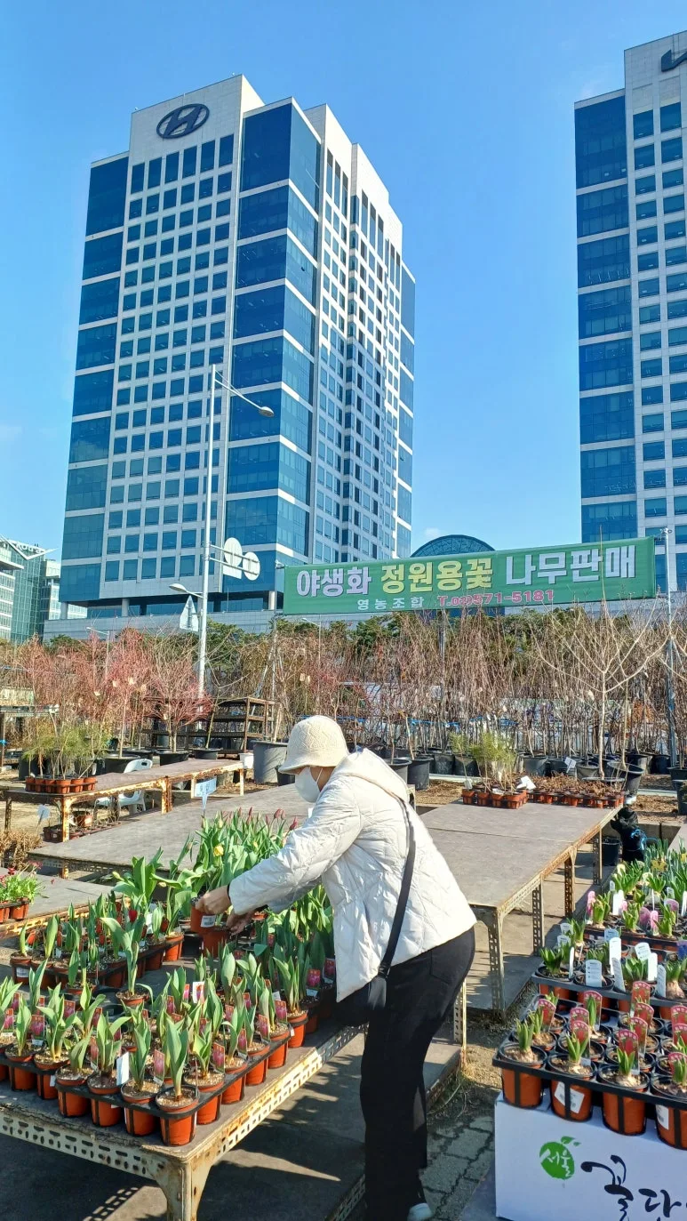 20250306_150017.jpg?type=w773