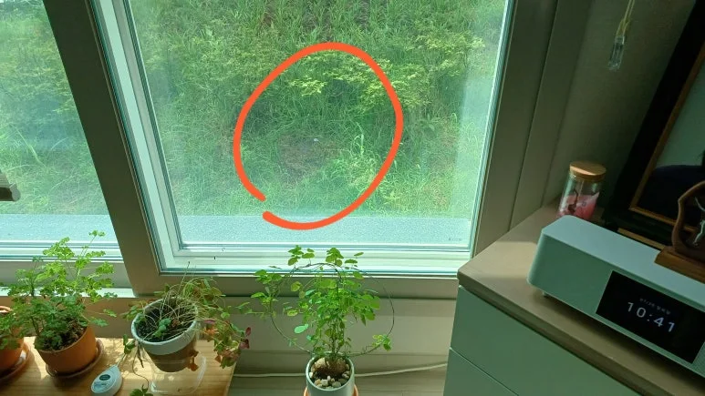 20250720_104127.jpg?type=w773