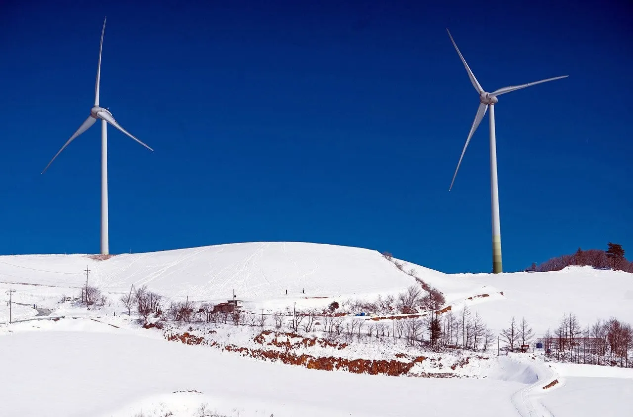 a_6h1Ud018svc1qzsxqsm1koji_qj5d0d.jpg?type=e1920_std