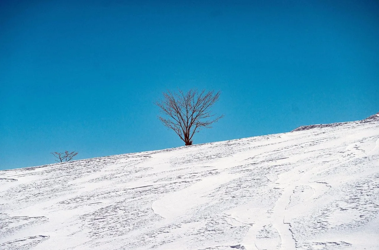 a_9h1Ud018svc18jxypq8b659e_qj5d0d.jpg?type=e1920_std