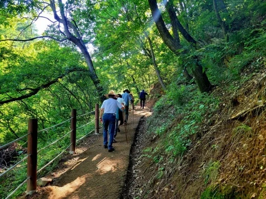 d_6e9Ud018svc1gu6k99f5zavu_qj5d0d.jpg?type=w520