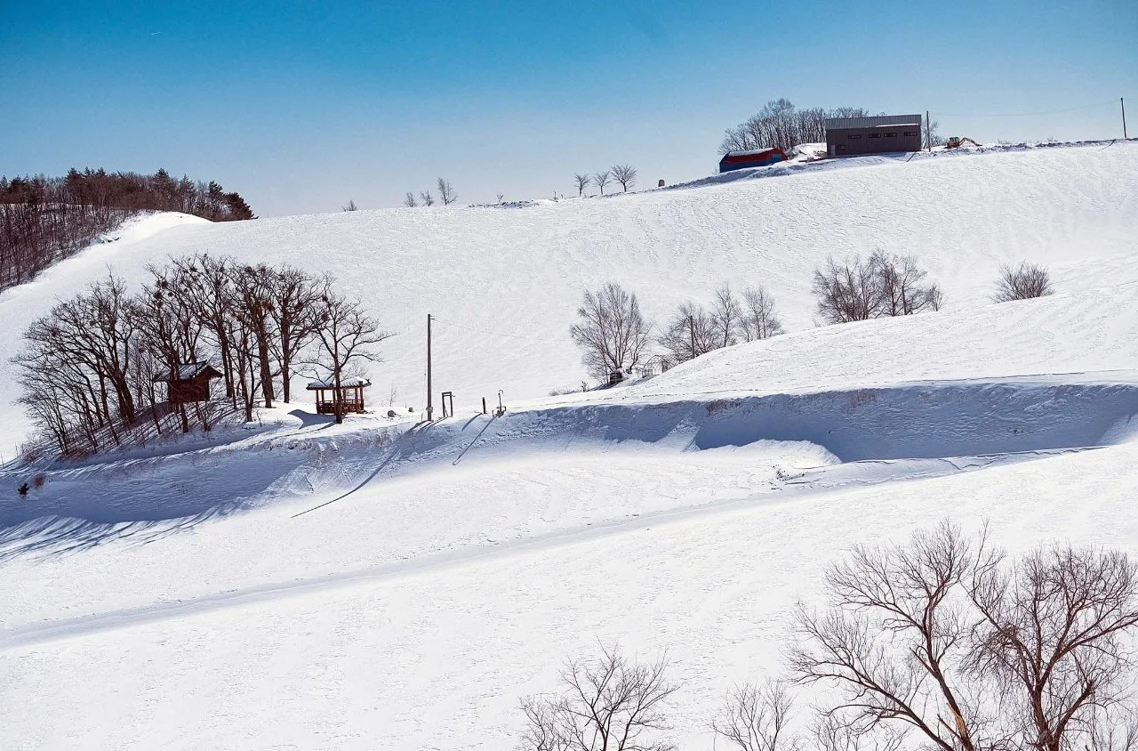 b_5h1Ud018svcxnczrfbtvchl_qj5d0d.jpg?type=e1920_std