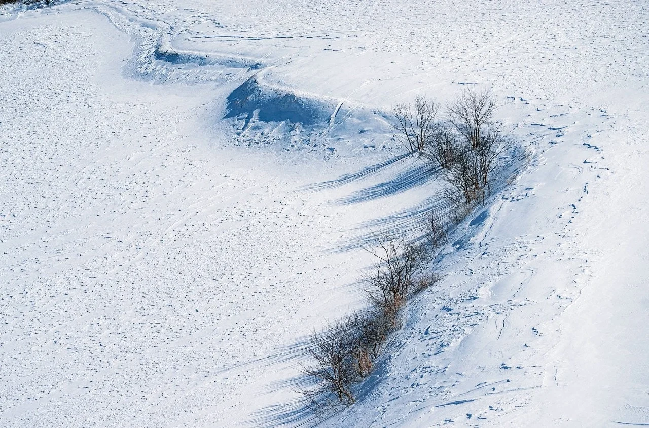 a_eh1Ud018svc1e0e3rt23l0gp_qj5d0d.jpg?type=e1920_std