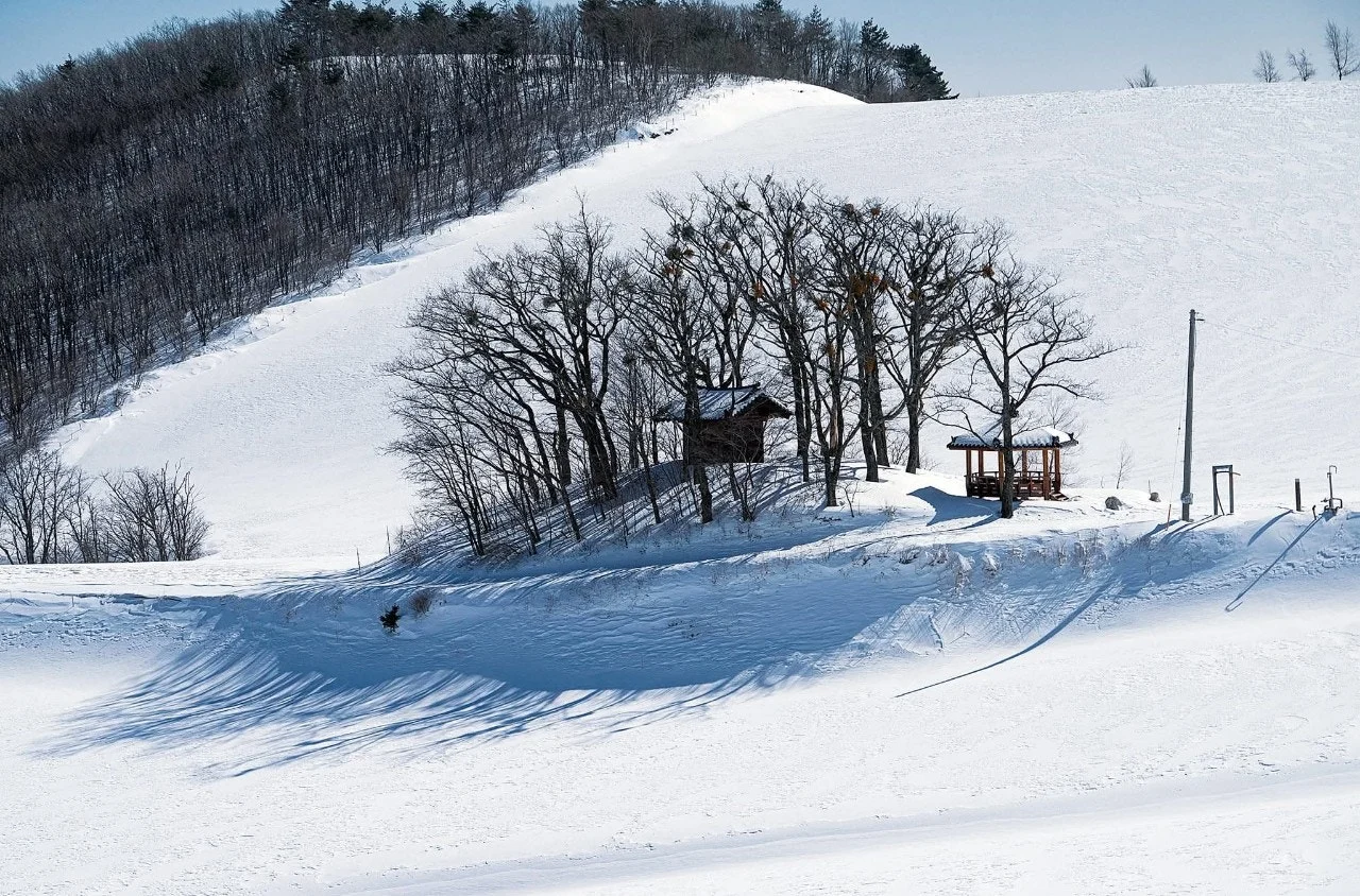 a_hh1Ud018svc1n86vyszjtn85_qj5d0d.jpg?type=e1920_std