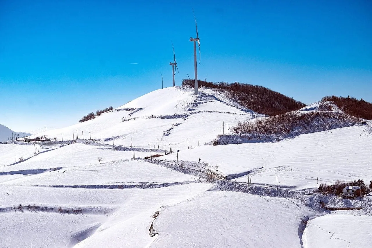 9_ah1Ud018svcgf2ab19khof7_qj5d0d.jpg?type=e1920_std