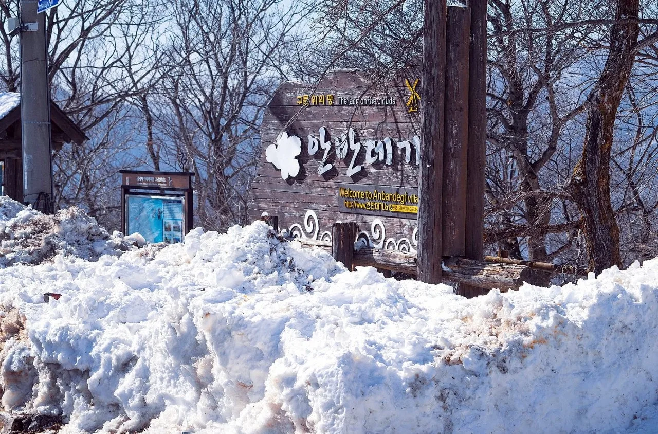 9_6h1Ud018svc1cx238jxact9a_qj5d0d.jpg?type=e1920_std