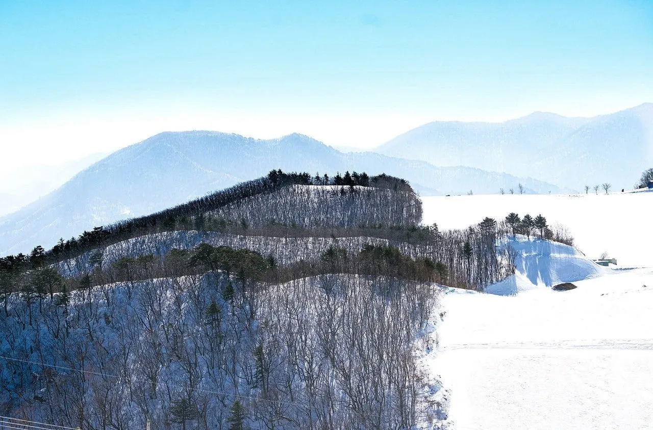 a_0h1Ud018svccdwgjxoaw167_qj5d0d.jpg?type=e1920_std