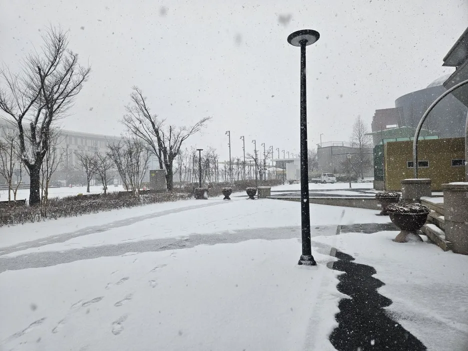 20260202_102347.jpg?type=w1