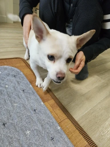 20260208_130226.jpg?type=w386