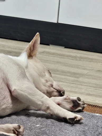 20260208_142533.jpg?type=w386