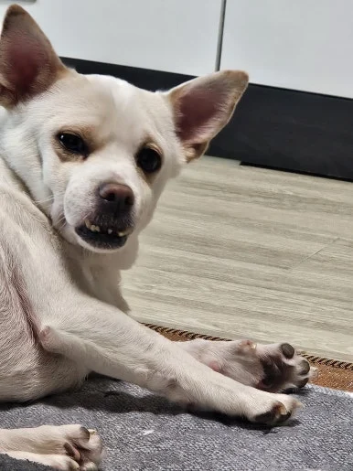 20260208_142535.jpg?type=w386