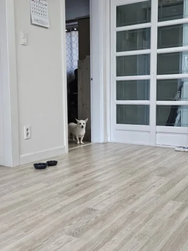 20260208_134523.jpg?type=w386